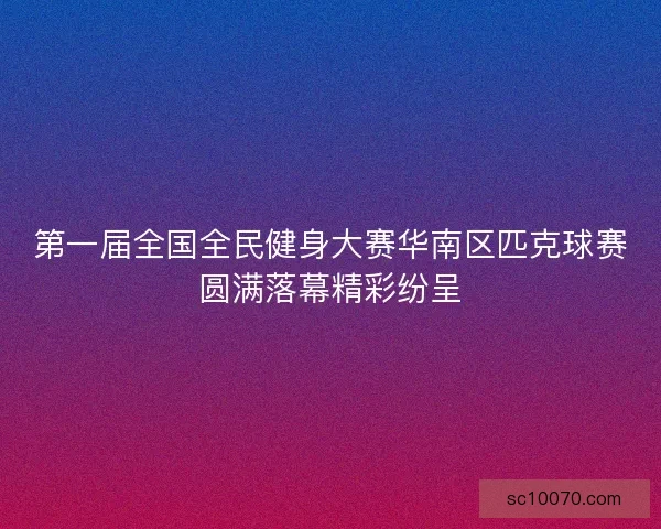第一届全国全民健身大赛华南区匹克球赛圆满落幕精彩纷呈