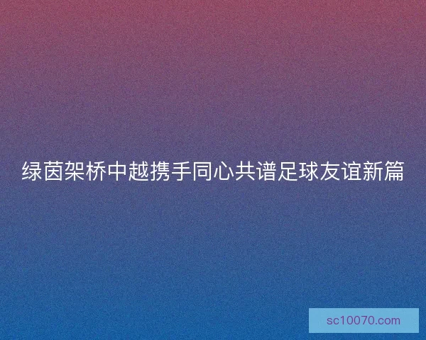 绿茵架桥中越携手同心共谱足球友谊新篇