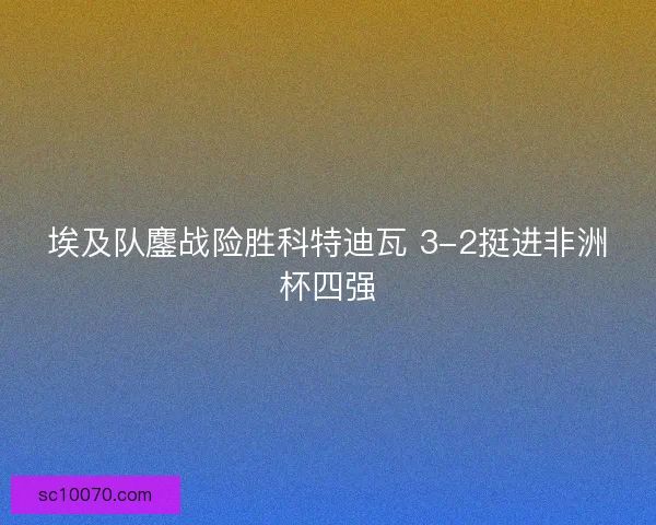 埃及队鏖战险胜科特迪瓦 3-2挺进非洲杯四强